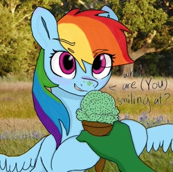 Size: 1371x1366 | Tagged: safe, artist:redruin01, color edit, edit, rainbow dash, oc, oc:anon, human, pegasus, pony, g4, (you), colored, cute, dashabetes, dialogue, eye clipping through hair, eyebrows, eyebrows visible through hair, female, food, hand, holding, human male, human oc, ice cream, ice cream cone, ice cream on nose, irl, looking at you, male, mare, offscreen character, photo, pov, real life background, smiling, smirk, spread wings, talking, talking to viewer, wings