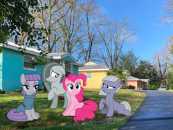 Size: 1000x750 | Tagged: safe, artist:dashiesparkle, artist:gamemasterluna, artist:mlplover94, artist:tomfraggle, limestone pie, marble pie, maud pie, pinkie pie, earth pony, pony, g4, athens, female, floppy ears, frown, georgia (state), irl, mare, photo, pie sisters, ponies in real life, raised hoof, siblings, sisters, sitting, smiling