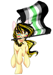 Size: 1054x1496 | Tagged: safe, artist:lightningchaserarts, oc, oc only, oc:lightning chaser, earth pony, pony, agender, agender pride flag, asexual, digital art, galloping, intersex, panromantic, pansexual, pansexual pride flag, pride, pride flag, simple background, solo, transparent background