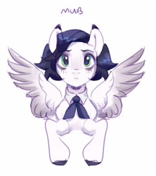 Size: 3045x3430 | Tagged: safe, artist:lunnita_pony, oc, oc only, pegasus, pony, high res, simple background, solo, white background