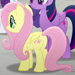 Size: 278x276 | Tagged: safe, screencap, fluttershy, rarity, twilight sparkle, alicorn, pony, g4, my little pony: rainbow roadtrip, butt, cropped, folded wings, plot, twilight sparkle (alicorn), wings