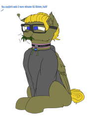 Size: 3000x4000 | Tagged: safe, artist:donnik, oc, oc:bluethecake, oc:donnik, pegasus, pony, clothes, collar, eating, glasses, grass, grazing, herbivore, hoodie, horses doing horse things, offscreen character, simple background, solo, transparent background