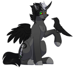 Size: 2805x2600 | Tagged: safe, artist:purplegrim40, oc, oc only, alicorn, bird, crow, pony, alicorn oc, colored hooves, high res, horn, male, simple background, solo, stallion, transparent background, wings