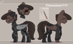 Size: 2560x1543 | Tagged: safe, artist:tttips!, oc, oc only, oc:cinnamon, cyborg, pegasus, pony, fallout equestria, amputee, armor, artificial wings, augmented, brown hair, bulletproof vest, clothes, cutie mark, female, green eyes, headphones, mare, pegasus oc, prosthetic limb, prosthetic wing, prosthetics, reference sheet, simple background, solo, uniform, visor, wings