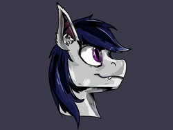 Size: 1080x814 | Tagged: safe, artist:andley, oc, oc only, oc:shatter wind, bat pony, hybrid, pegasus, pony, bust, commission, cute, headshot commission, male, portrait, sharp teeth, smiling, solo, teeth, ych result