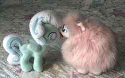 Size: 604x380 | Tagged: safe, oc, oc only, oc:fluffle puff, oc:snowdrop, earth pony, original species, pegasus, pony, female, fluffle puff plushie, irl, kissing, lesbian, mare, photo, plushie, shipping, snowpuff, tongue out, toy, wings, youtube link