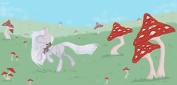 Size: 2560x1237 | Tagged: safe, artist:tttips!, oc, oc only, pegasus, pony, amanita, eyes, female, grass, mare, mushroom, psychedelic, ribbon, running, solo, white hair