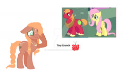 Size: 1600x940 | Tagged: safe, artist:aunickakim, big macintosh, fluttershy, oc, oc:tiny cruch, earth pony, pegasus, pony, g4, base used, braided tail, deviantart watermark, female, freckles, jewelry, male, mare, necklace, obtrusive watermark, offspring, parent:big macintosh, parent:fluttershy, parents:fluttermac, screencap reference, ship:fluttermac, shipping, simple background, straight, tail, text, watermark, white background