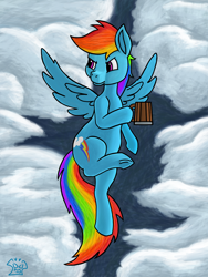Size: 3000x4000 | Tagged: safe, artist:a-jaller, rainbow dash, pegasus, pony, g4, cider mug, cloud, cloudy, mug, sky, solo, spread wings, wings