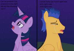 Size: 2334x1602 | Tagged: safe, artist:cosmicart16, flash sentry, twilight sparkle, alicorn, pegasus, pony, g4, airplanes (song), crying, dialogue, female, male, mare, night, ship:flashlight, shipping, stallion, stars, straight, twilight sparkle (alicorn)