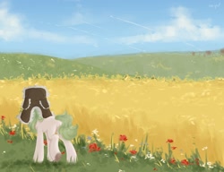 Size: 2560x1969 | Tagged: safe, artist:tttips!, oc, oc only, earth pony, pony, butt, cloud, contrail, featureless crotch, female, field, flower, grass, green hair, hat, mare, outdoors, plane, plot, rear view, scenery, sky, ushanka, wheat