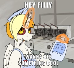 Size: 740x678 | Tagged: safe, artist:reddthebat, oc, oc only, oc:dyx, alicorn, pony, bag, caption, chest fluff, cigarette, female, fryer, horn, ice, image macro, mare, meme, older, older dyx, ponified meme, smoking, solo, talking to viewer, text, this will end in fire, this will end in pain, wings