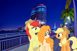 Size: 2700x1800 | Tagged: safe, artist:cloudy glow, artist:itv-canterlot, artist:mlplover94, applejack, bright mac, pear butter, earth pony, pony, g4, cowboy hat, crying, father and child, father and daughter, female, florida, hat, high res, irl, male, mare, mother and child, mother and daughter, photo, ponies in real life, stallion, stetson, tears of joy, teary eyes, west palm beach