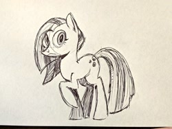 Size: 1024x768 | Tagged: safe, artist:mellodillo, marble pie, earth pony, pony, g4, female, mare, monochrome, solo, traditional art