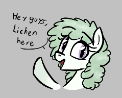 Size: 239x192 | Tagged: safe, artist:seafooddinner, oc, oc only, oc:lichen, pony, yakutian horse, aggie.io, bust, dialogue, female, gray background, lowres, mare, open mouth, pun, raised hoof, simple background, smiling, talking