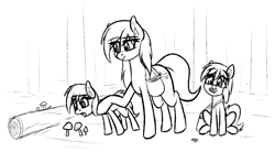 Size: 1667x918 | Tagged: safe, artist:seafooddinner, oc, oc only, oc:meadow frost, oc:snowfall, oc:tundra tracker, pony, yakutian horse, bag, black and white, eye clipping through hair, female, filly, foal, grayscale, holding back, log, mare, monochrome, mouth hold, mushroom, open mouth, pinecone, saddle bag, satchel, siblings, sisters, sitting, sketch, trio
