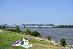 Size: 1800x1200 | Tagged: safe, artist:mlplover94, artist:muffinname, bon bon, sweetie drops, earth pony, pony, g4, bridge, female, irl, mare, memphis, newspaper, photo, ponies in real life, reading, solo, tennessee