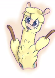 Size: 2892x4096 | Tagged: safe, artist:playful wings, paprika (tfh), alpaca, them's fightin' herds, cloven hooves, community related, cute, female, gradient background, looking at you, paprikadorable, simple background, solo