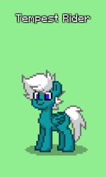 Size: 1080x1802 | Tagged: safe, oc, oc:tempest rider, pegasus, pony, pony town, male