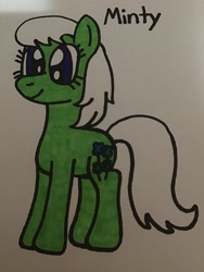 Size: 2448x3264 | Tagged: safe, artist:maddiedraws5678, minty (g1), earth pony, pony, g1, g4, blue eyes, cute, female, full body, g1 mintabetes, g1 to g4, generation leap, high res, hooves, mare, palindrome get, simple background, smiling, solo, standing, tail, traditional art, white background, white hair, white mane, white tail