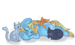 Size: 3350x2000 | Tagged: safe, artist:xwosya, oc, oc only, oc:skydreams, cat, pony, unicorn, commission, female, high res, mare, sleeping, ych result