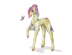 Size: 3500x2700 | Tagged: safe, artist:ucucifi20, fluttershy, bird, pony, g4, alternate hairstyle, female, high res, mare, missing cutie mark, scar, simple background, sling, solo, white background