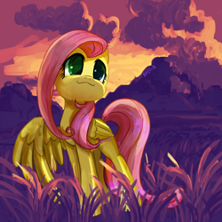 Size: 1600x1600 | Tagged: safe, artist:brella, fluttershy, pegasus, pony, g4, cloud, cute, female, grass, looking away, looking up, mare, one wing out, outdoors, shyabetes, smiling, solo, standing, sunset, turned head, wings
