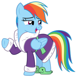 Size: 1672x1675 | Tagged: safe, artist:sketchmcreations, rainbow dash, pegasus, pony, applejack's "day" off, g4, bathrobe, clothes, female, lidded eyes, looking right, mare, open mouth, raised hoof, robe, simple background, slippers, smiling, solo, spa robe, tank slippers, transparent background, vector