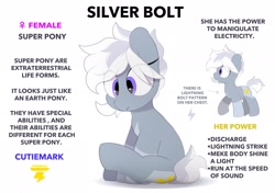 Size: 2064x1457 | Tagged: safe, artist:mochi_nation, oc, oc only, oc:silver bolt, earth pony, pony, coat markings, engrish, eye clipping through hair, female, mare, misspelling, reference sheet, simple background, sitting, solo, white background