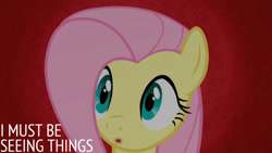 Size: 1280x720 | Tagged: safe, edit, edited screencap, editor:quoterific, screencap, fluttershy, pegasus, pony, g4, season 2, the return of harmony, :o, female, mare, open mouth, solo, text