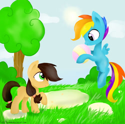 Size: 1600x1590 | Tagged: safe, artist:katemaximova, rainbow dash, oc, earth pony, pegasus, pony, g4, ball, bush, cloud, duo, duo male and female, female, hoof hold, looking at each other, looking at someone, male, mare, outdoors, raised hoof, stallion, tree, wings