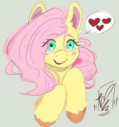 Size: 522x552 | Tagged: safe, artist:zeplenx, fluttershy, pegasus, pony, g4, blushing, bust, colored ear fluff, colored hooves, cute, female, heart, looking at you, mare, open mouth, open smile, pictogram, shyabetes, simple background, smiling, solo, speech bubble, spoken heart, unshorn fetlocks