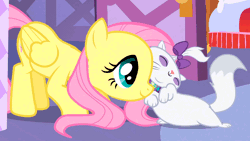 Size: 960x540 | Tagged: safe, editor:cutiesparke, screencap, fluttershy, opalescence, cat, pegasus, pony, g4, season 1, stare master, animated, bow, carousel boutique, cute, daaaaaaaaaaaw, female, folded wings, gif, hair bow, kneeling, mare, nuzzling, opalbetes, shyabetes, smiling, tail, tail whip, wings