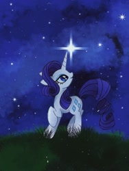 Size: 675x900 | Tagged: safe, artist:stacy_165cut, rarity, pony, unicorn, g4, female, grass, horn, looking back, mare, night, night sky, outdoors, raised hoof, sky, solo, stars