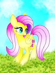 Size: 675x900 | Tagged: safe, artist:stacy_165cut, fluttershy, pegasus, pony, g4, female, folded wings, grass, mare, outdoors, solo, wings