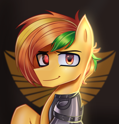 Size: 2800x2920 | Tagged: safe, artist:opal_radiance, oc, pegasus, pony, high res, solar empire, solo