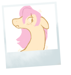 Size: 568x600 | Tagged: safe, artist:bananasmores, part of a set, fluttershy, pegasus, pony, g4, bust, floppy ears, polaroid, solo