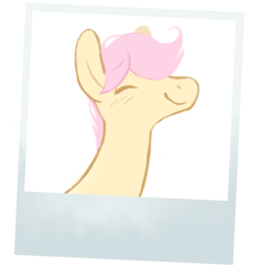 Size: 568x600 | Tagged: safe, artist:bananasmores, part of a set, fluttershy, pegasus, pony, g4, bust, polaroid, smiling, solo
