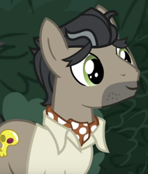 Size: 419x494 | Tagged: safe, screencap, doctor caballeron, earth pony, pony, daring doubt, g4, ascot tie, bush, close-up, clothes, cropped, cute, cutealleron, daaaaaaaaaaaw, male, shirt, solo, stallion