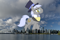 Size: 3200x2137 | Tagged: safe, artist:cloudy glow, artist:thegiantponyfan, caesar, count caesar, earth pony, pony, g4, canada, giant pony, giant/macro earth pony, hat, high res, highrise ponies, irl, macro, male, mega giant, monocle, photo, ponies in real life, smiling, stallion, story included, top hat, vancouver