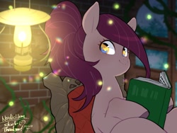 Size: 1600x1200 | Tagged: safe, artist:potetecyu_to, oc, oc only, earth pony, pony, book, female, hoof hold, lantern, looking at you, mare, solo, window