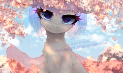 Size: 2000x1185 | Tagged: safe, artist:avrameow, oc, pony, cherry blossoms, commission, flower, flower blossom, looking at you, sky, solo, sunlight, your character here