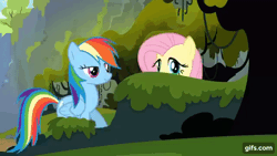 Size: 640x360 | Tagged: safe, screencap, fluttershy, rainbow dash, pegasus, pony, g4, season 3, spike at your service, ^^, animated, bucket, cute, dashabetes, duo, eyes closed, female, gif, gifs.com, high five, mare, open mouth, open smile, shyabetes, smiling, tree
