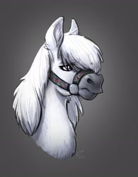 Size: 1924x2467 | Tagged: safe, artist:selenophile, oc, oc only, pony, yakutian horse, bust, halter, hoers, solo, tack