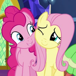 Size: 689x689 | Tagged: safe, screencap, fluttershy, meadowbrook, pinkie pie, earth pony, pegasus, pony, season 7, shadow play, cheek to cheek, cropped, cute, diapinkes, duo focus, female, offscreen character, one eye closed, shyabetes, smiling, trio, trio female