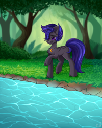 Size: 2000x2500 | Tagged: safe, artist:rinteen, oc, oc only, earth pony, pony, forest, high res, river, solo, tree, water