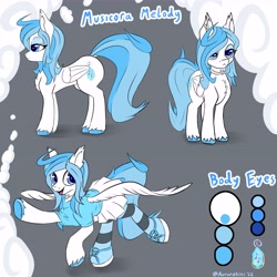 Size: 8192x8192 | Tagged: safe, artist:aurorakins, oc, oc only, oc:musicora melody, pegasus, pony, blue, chest fluff, clothes, cloud, cutie mark, dock, ear fluff, pegasus oc, reference sheet, shirt, shoes, skirt, socks, solo, striped socks, tail, unshorn