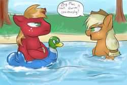 Size: 3000x2000 | Tagged: safe, artist:katemaximova, applejack, big macintosh, earth pony, pony, applejack's hat, applejerk, cowboy hat, duo, duo male and female, female, freckles, hat, inflatable, looking at each other, looking at someone, male, mare, open mouth, open smile, smiling, speech bubble, stallion, water