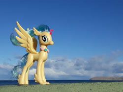 Size: 4128x3096 | Tagged: safe, artist:dingopatagonico, princess skystar, classical hippogriff, hippogriff, my little pony: the movie, irl, photo, solo, toy