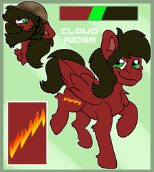Size: 1701x1900 | Tagged: safe, artist:euspuche, oc, oc only, oc:cloud rider, pegasus, looking at you, male, reference sheet, smiling